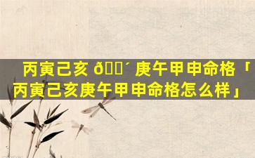 丙寅己亥 🐴 庚午甲申命格「丙寅己亥庚午甲申命格怎么样」